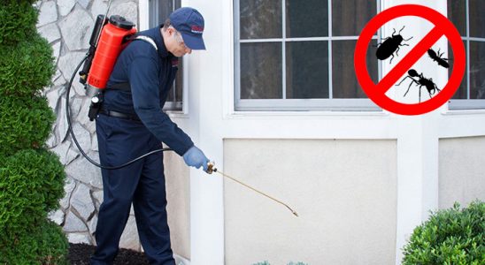 Kelkit Fare İlaçlama böcek ilaçlama ve haşere kontrolü — ilaclama-tr.com